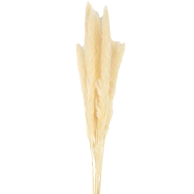 Gambar Informa Tanaman Kering Reed 15x90 cm - Putih