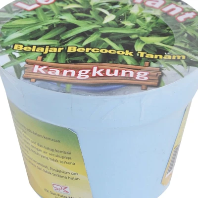 Gambar Lets Plant Benih Kangkung