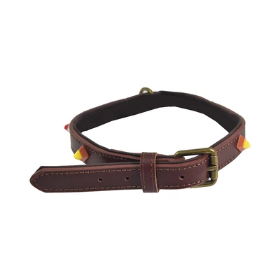 Gambar Paws N Tail 50 cm Kalung Anjing Kulit Luxury - Cokelat