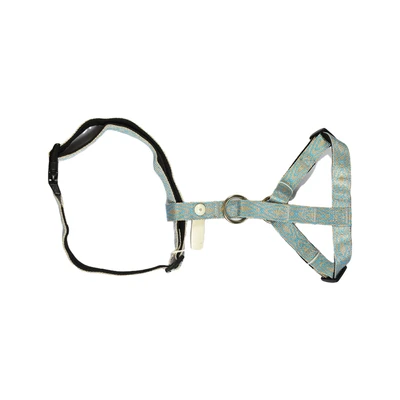 Gambar Paws N Tail Ukuran S Harness Anjing Denim - Biru