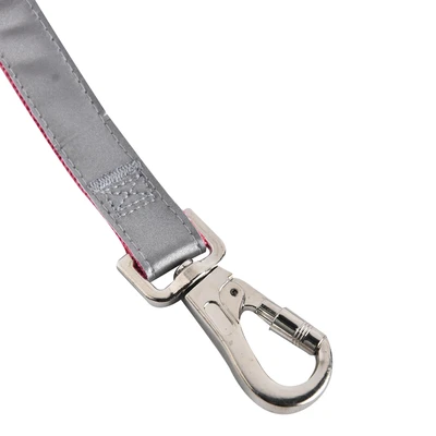 Gambar Paws N Tail 120 cm Tali Anjing Reflective M 20Mm- Merah