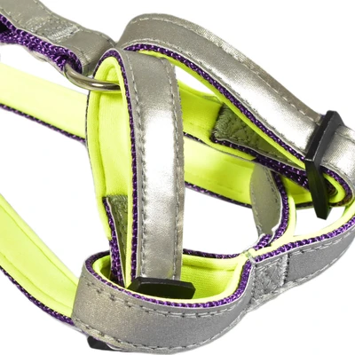 Gambar Paws N Tail Ukuran S Harness Anjing Reflective - Ungu