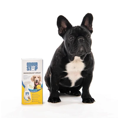 Gambar M-Pets Lemon Greentea Odourstop Deodorant Spray Anjing 500 ml