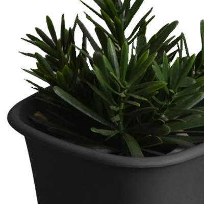 Gambar Clover 14 Cm Pot Bunga Persegi - Hitam