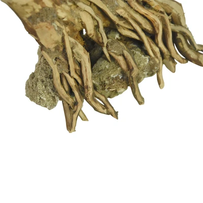 Gambar Fishland Aquascape Hiasan Akuarium Kayu Bonsai Ukuran M
