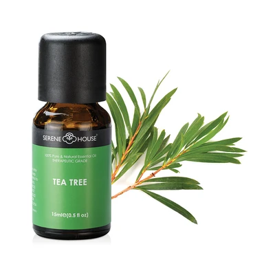 Gambar Serene House 15 Ml Tea Tree Essential Oil