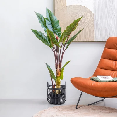 Gambar Informa Tanaman Artifisial Rainbow Taro Dengan Pot 101x98x134 cm - Hijau