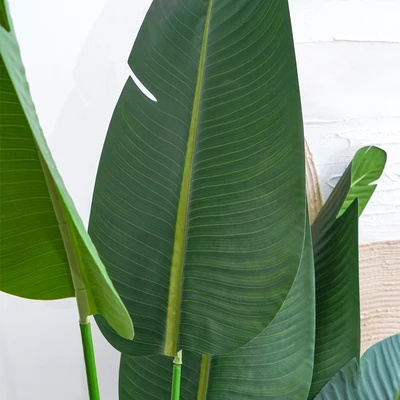 Gambar Informa Tanaman Artifisial Strelitzia Dengan Pot 130x130x200 cm - Hijau
