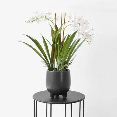 Gambar Informa Bunga Artifisial Orchid Dengan Pot 13.5x13.5x60 cm - Putih