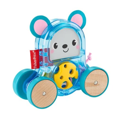 Gambar Fisher Price Vehicles GJW12 Random
