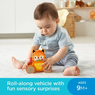 Gambar Fisher Price Vehicles GJW12 Random