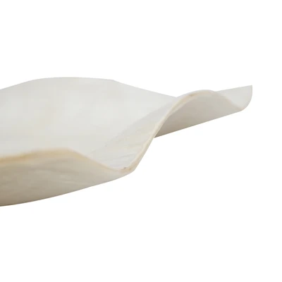 Gambar Pendopo Piring Saji Fly Wave Shell Craft 23x23 cm - Putih