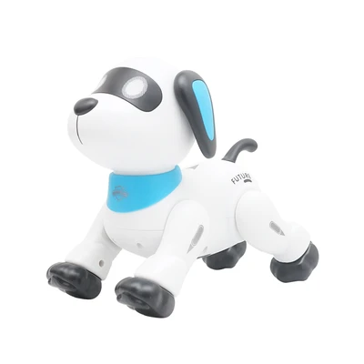 Gambar Cruzer Action Robo Buddy Remote Control