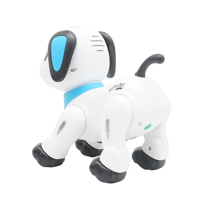Gambar Cruzer Action Robo Buddy Remote Control