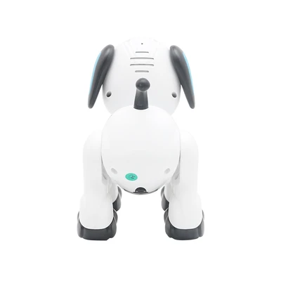 Gambar Cruzer Action Robo Buddy Remote Control