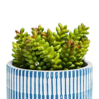 Gambar Informa Tanaman Artifisial Succulent Dengan Pot 12.7x12.7x17.8 cm - Biru