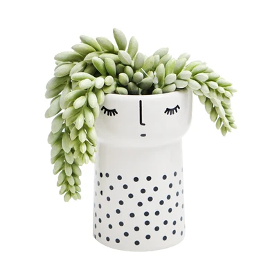 Gambar Informa Tanaman Artifisial Succulent Dengan Pot 12.7x12.7 cm - Putih