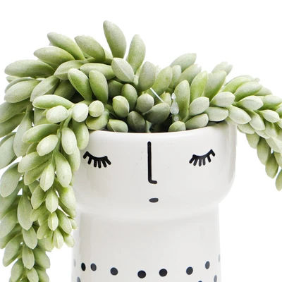 Gambar Informa Tanaman Artifisial Succulent Dengan Pot 12.7x12.7 cm - Putih