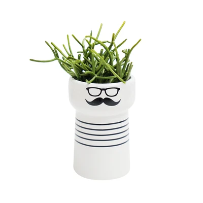 Gambar Informa Tanaman Artifisial Succulent Dengan Pot 17.8x17.8x20.3 cm - Putih/Hitam