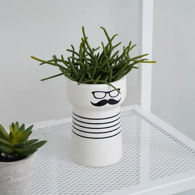 Gambar Informa Tanaman Artifisial Succulent Dengan Pot 17.8x17.8x20.3 cm - Putih/Hitam