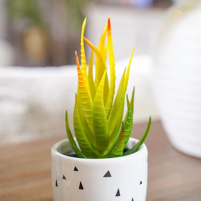 Gambar Informa Tanaman Artifisial Aloe Vera Dengan Pot 7.1x7.1x16.5 cm - Putih/Hitam