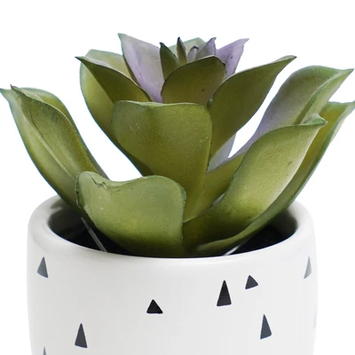 Gambar Informa Tanaman Artifisial Succulent Dengan Pot 9.5x9.5x12 cm - Putih