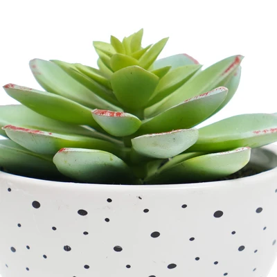 Gambar Informa Tanaman Artifisial Succulent Dengan Pot 10.2x10.2x10.8 cm - Putih