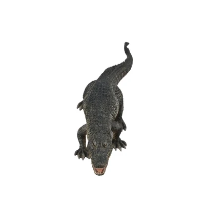 Gambar Collecta Figure American Alligator 88609