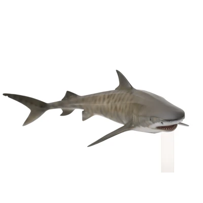 Gambar Collecta Figure Tiger Shark 88661