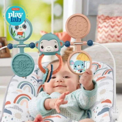 Gambar Fisher Price Basic Bouncer-cip Gwv94