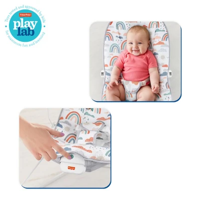 Gambar Fisher Price Basic Bouncer-cip Gwv94