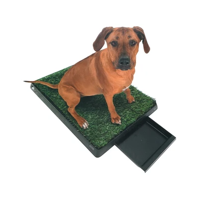 Gambar M-Pets Training Pads Grass Mat Dengan Tray