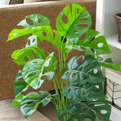 Gambar Informa Tanaman Artifisial 70 Cm Monstera Adansonii L1