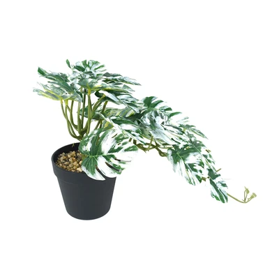Gambar Informa Tanaman Artifisial Monstera Albino Dengan Pot 12x12x25 cm - Hijau/Putih