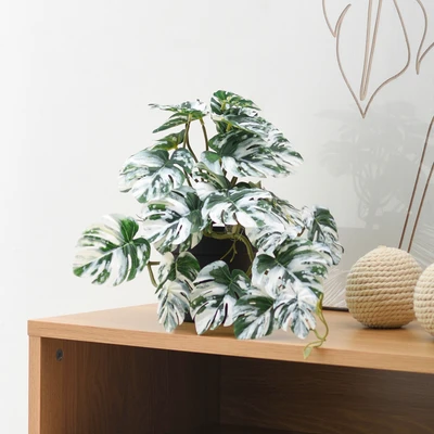 Gambar Informa Tanaman Artifisial Monstera Albino Dengan Pot 12x12x25 cm - Hijau/Putih