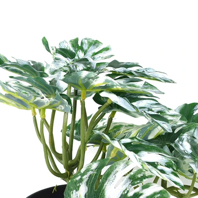 Gambar Informa Tanaman Artifisial Monstera Albino Dengan Pot 12x12x25 cm - Hijau/Putih