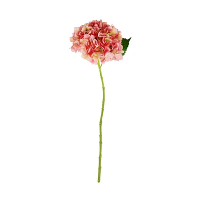 Gambar Informa Bunga Artifisial Hydrangea 63 Cm 7p - Pink