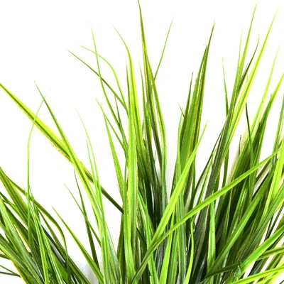 Gambar Informa Tanaman Artifisial Grass Bush 5x13x70 cm - Hijau