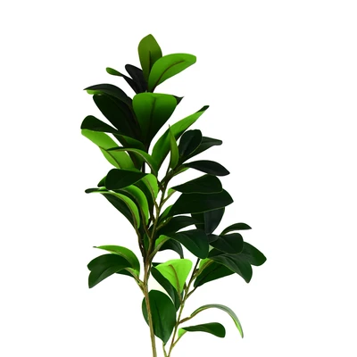 Gambar Informa Tanaman Artifisial Watercress Leaves 25x17x82 cm - Hijau