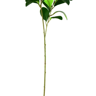 Gambar Informa Tanaman Artifisial Watercress Leaves 25x17x82 cm - Hijau