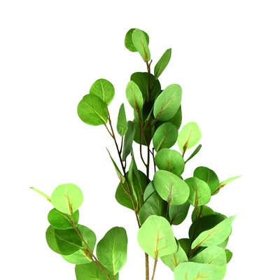 Gambar Informa Tanaman Artifisial Eucalyptus 5x26x86 cm - Hijau