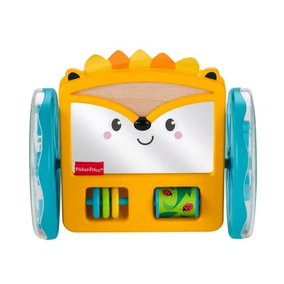 Gambar Fisher Price Play And Crawl Hedgehog Mirror Gjw14