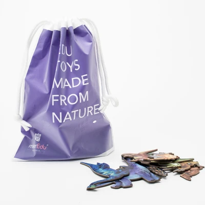 Gambar Mieredu Magnetic Puzzle All About Dinosaurus