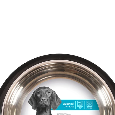 Gambar M-Pets Tempat Makan Hewan 2.36 Liter