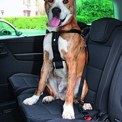 Gambar Pawise Ukuran Xl Harness Anjing Safety Belt 2in1 - Hitam