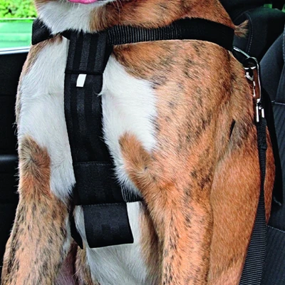 Gambar Pawise Ukuran Xl Harness Anjing Safety Belt 2in1 - Hitam