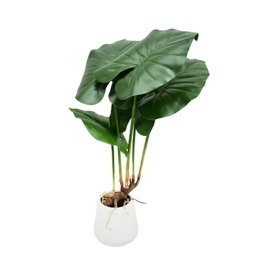 Gambar Informa Tanaman Artifisial Taro Dengan Pot 13x13x62 cm - Hijau