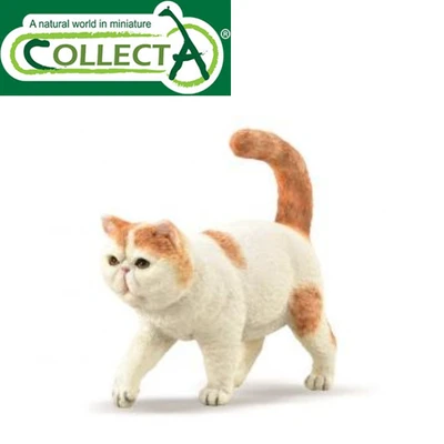 Gambar Collecta Figure Exotic Shorthair 88937
