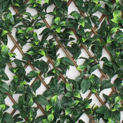 Gambar Cc Grass 100x200 Cm Tanaman Pagar Buatan Gardenia Leave