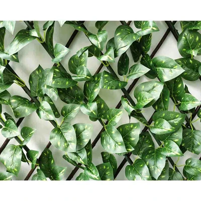 Gambar Cc Grass Tanaman Artifisial Pagar Money Plant 200x100 cm - Hijau